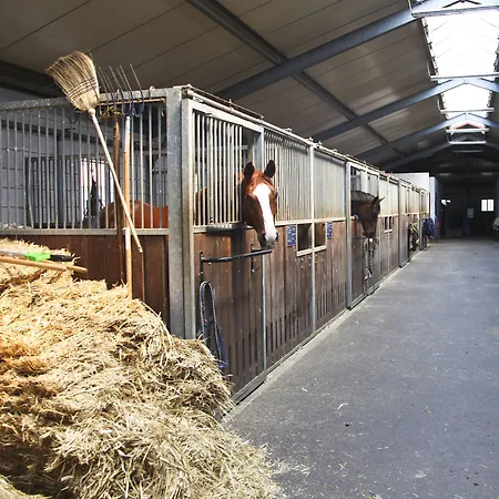 Отель Country Suitenhotel