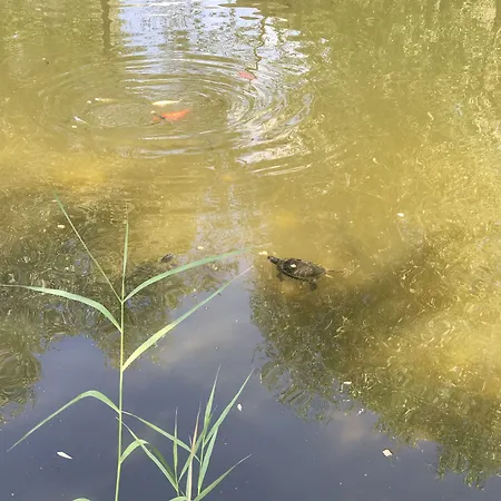 Hotel Country Suitenhotel