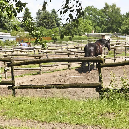 Country Suitenhotel 3* Вердер