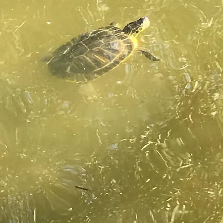 Ξενοδοχείο Country Suitenhotel Werder (Havel)