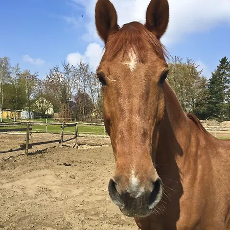 Country Suitenhotel Hotel 3*