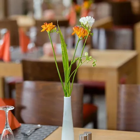Country Suitenhotel 3* Werder (Havel)