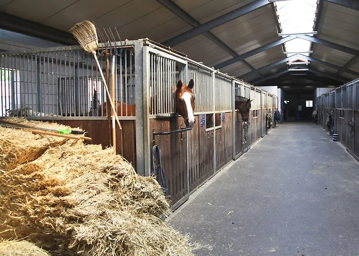 Hotel Country Suitenhotel