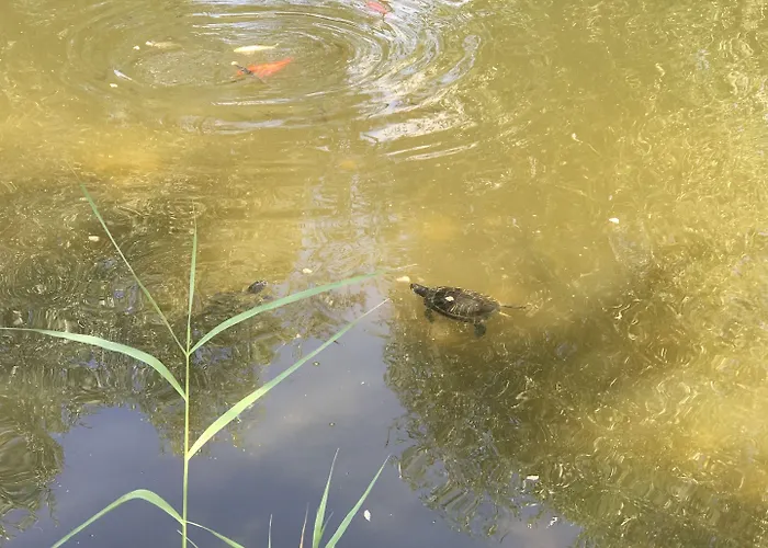 Hotel Country Suitenhotel