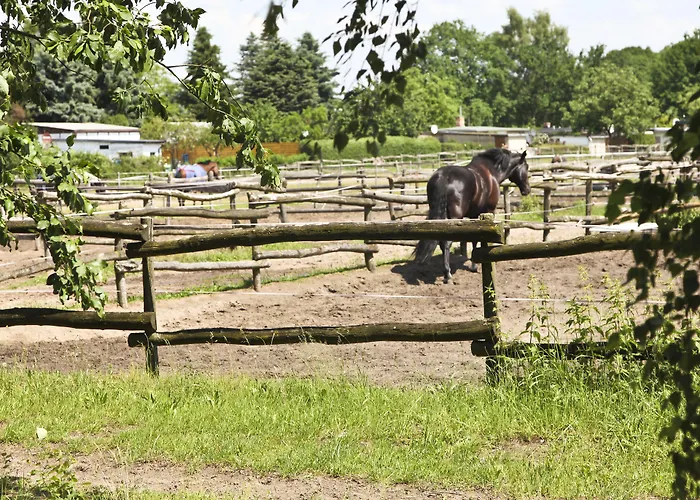 Country Suitenhotel 3* Werder (Havel)