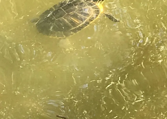 Hotel Country Suitenhotel Werder (Havel)