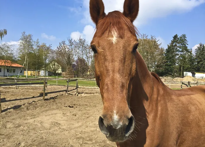 Country Suitenhotel Hotel 3*