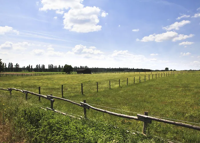 Country Suitenhotel 3* Werder (Havel)